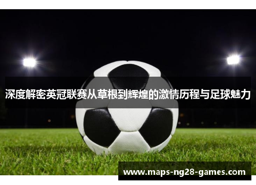 深度解密英冠联赛从草根到辉煌的激情历程与足球魅力